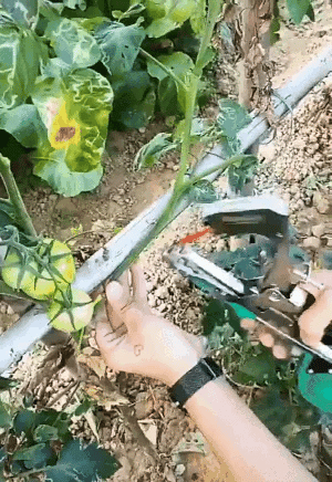 Plantebinder for hagearbeid | Luvikno