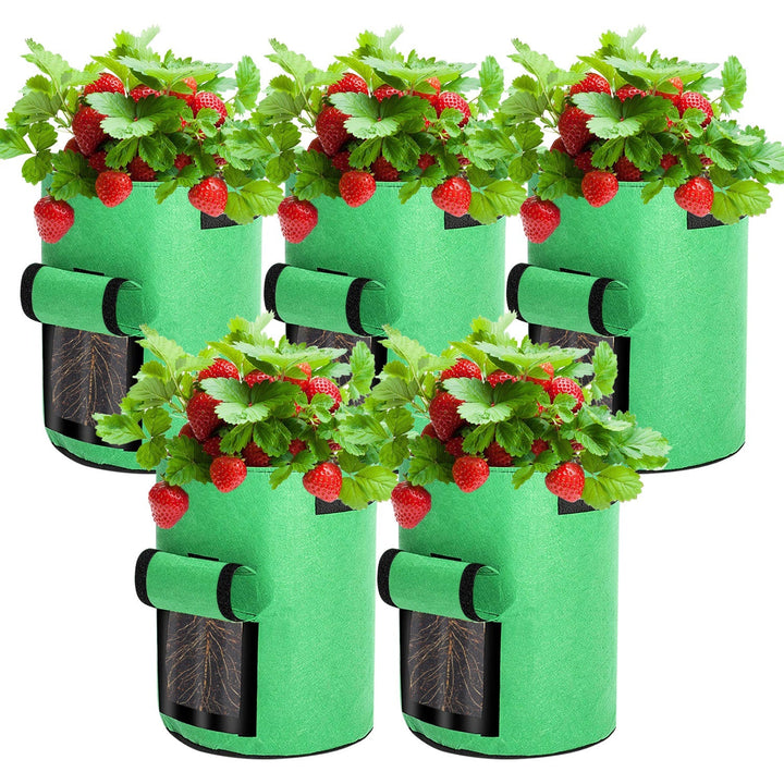 Plantepose plantepose plantepose 5 stk | Luvikno
