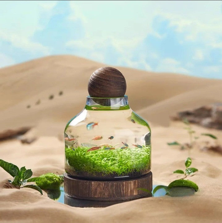 Micro Aquarium Compact Glass Økologisk Fisketank | Luvikno
