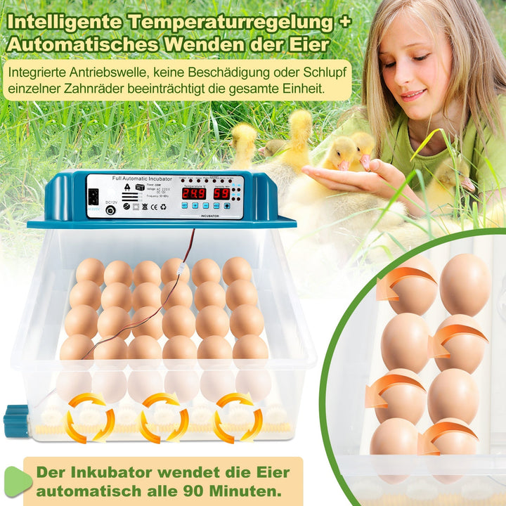 Brutautomat Fulle Automatisk Inkubator for Kyllinger 36 Egg | Luvikno