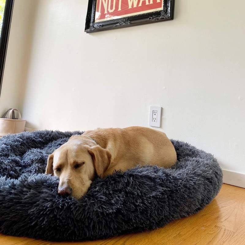 Ortopedisk Plysj Donut Hundeseng Luvikno