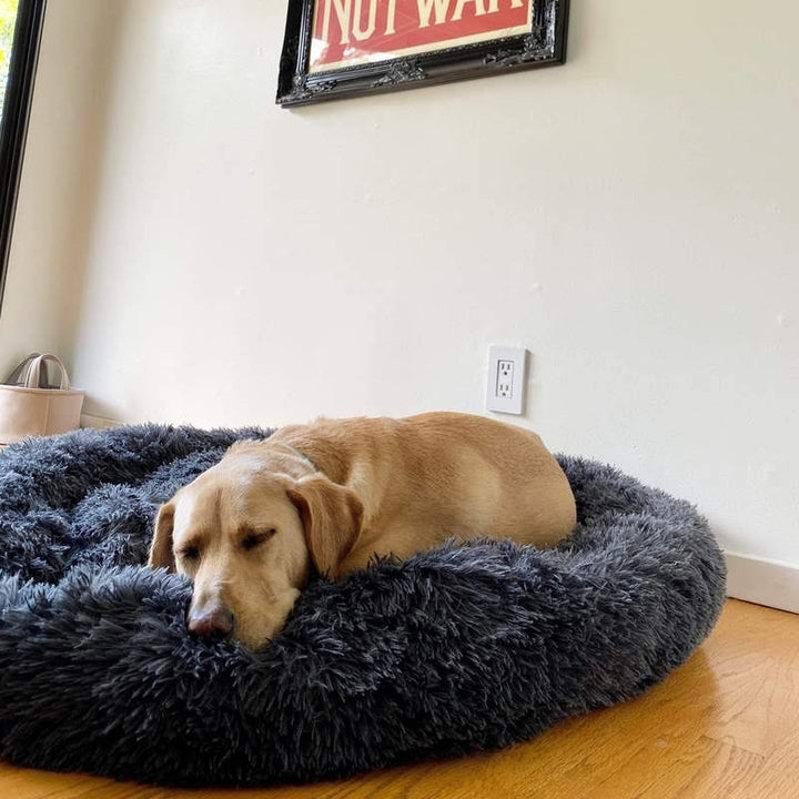 Ortopedisk Plysj Donut Hundeseng Luvikno