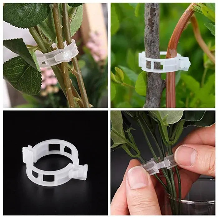 VitaGrip Clips — Sterk hold for majestetiske planter som vokser og trives stolt | Luvikno