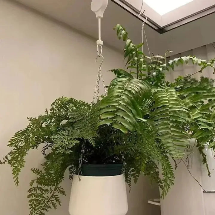 Luvikno | FlexiBloom — Få smertefri plantepleie og et stilig hjem uten ryggsmerter! (2 deler)