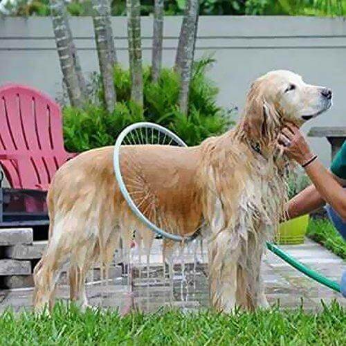 360° Pet Shower Tool - AquaPaws Luvikno
