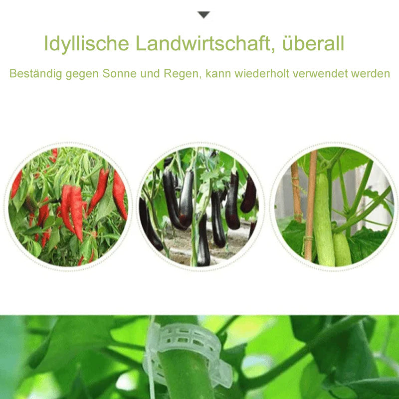 Praktisk Plante Støtte Klype | Luvikno