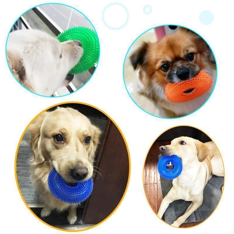 Vocal Ball Hundekjøttleketøy | Luvikno