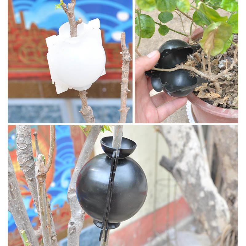 Air Layer Plant Propagation Capsule | Luvikno