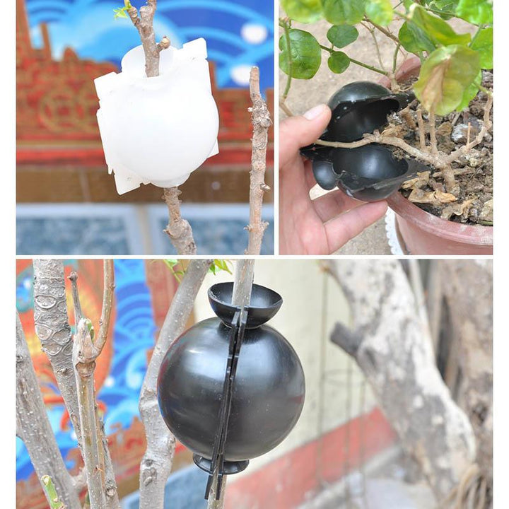 Air Layer Plant Propagation Capsule | Luvikno