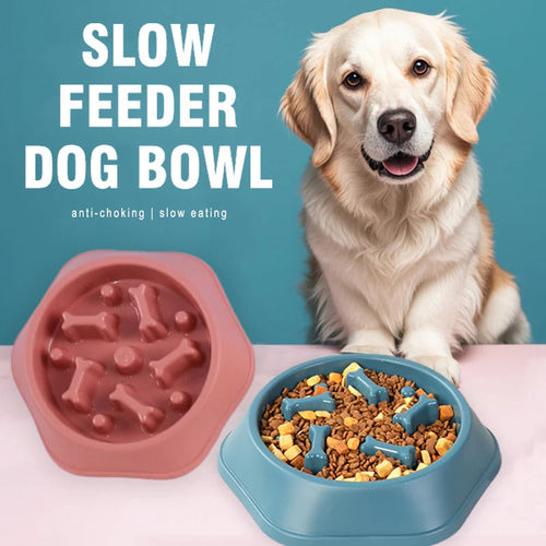 Slow Eating Feeding Station for Dogs Luvikno