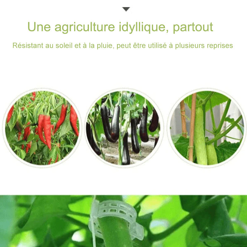 Plante støtteklipp | Luvikno