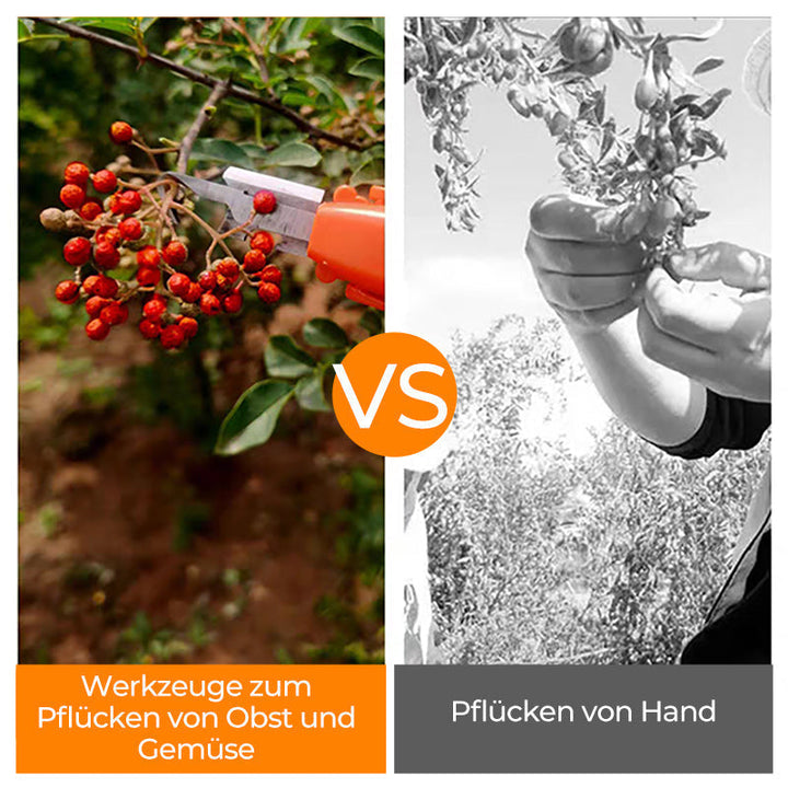 Effektive paprika plukking verktøy | Luvikno