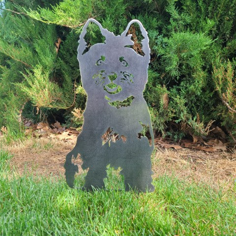 Cairn Terrier | Luvikno