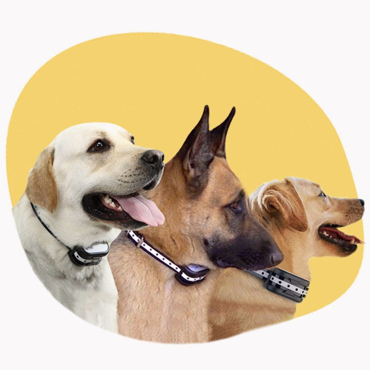 Luvikno | SafeZone - Trådløst hundegjerde og treningshalsbånd | Dyrevennlige korrigeringsmetoder | Oppladbar og vanntett
