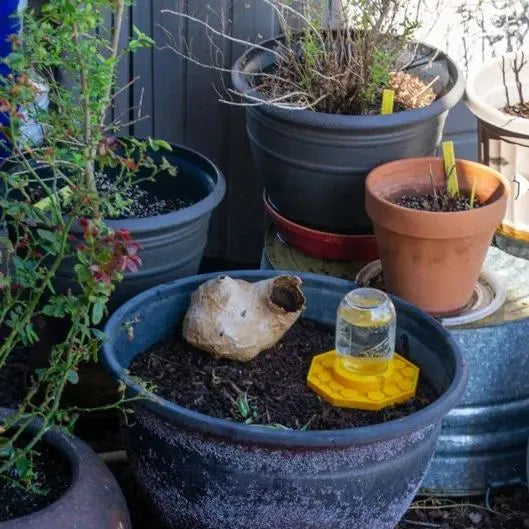 Luvikno | BuzziNest — Beskytt biene dine og gjør hagen din til en blomstrende drøm om liv!