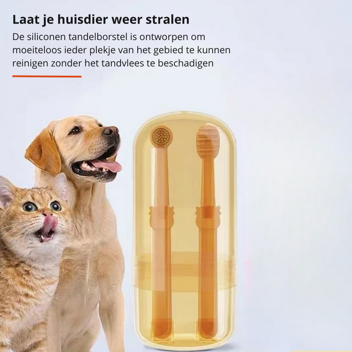 Profesjonell hundetannbørste Luvikno