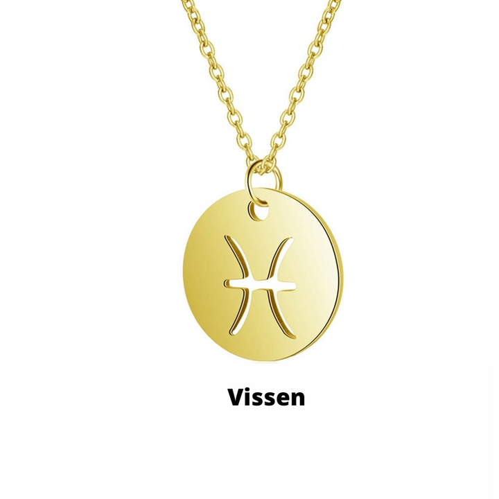 Zodiac Necklace | Bærekraftig rustfritt stål, forblir strålende! Luvikno