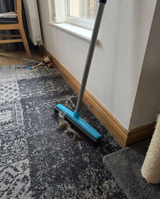 FurCleer — Sett et stopp for dyrehår og føl deg fri i hjemmet ditt | Luvikno