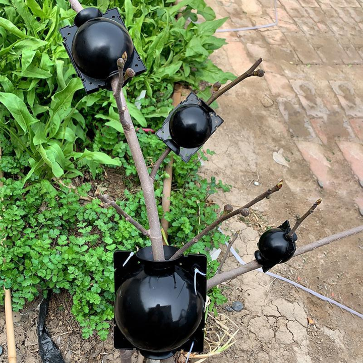 Air Layer Plant Propagation Capsule | Luvikno