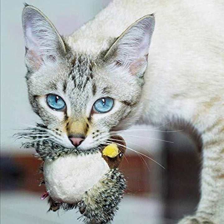 Luvikno | BirdyPurr - Den trygge lekevennen for katten din!