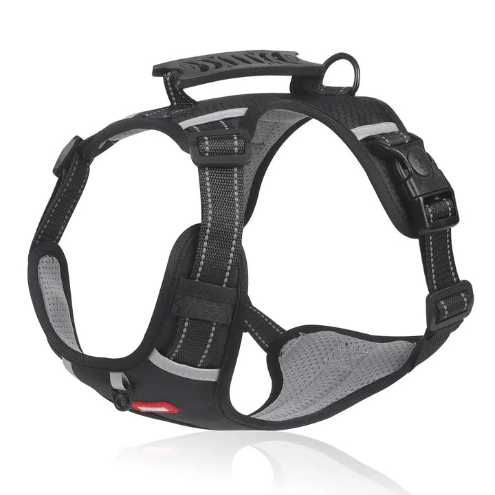 NoPull hundesele – WalkEase Luvikno