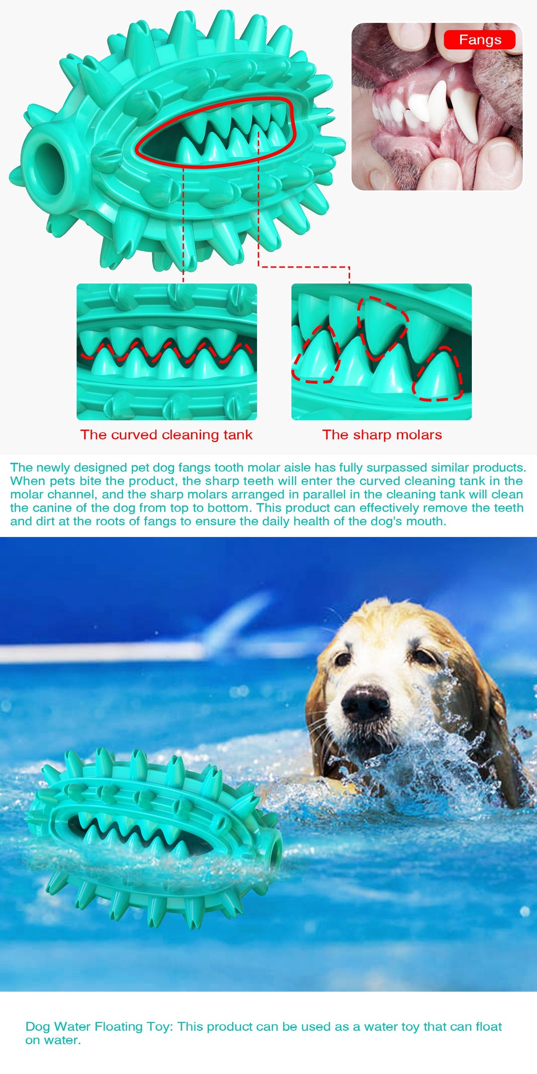 Cactus Chew Ball / For Dogs Luvikno
