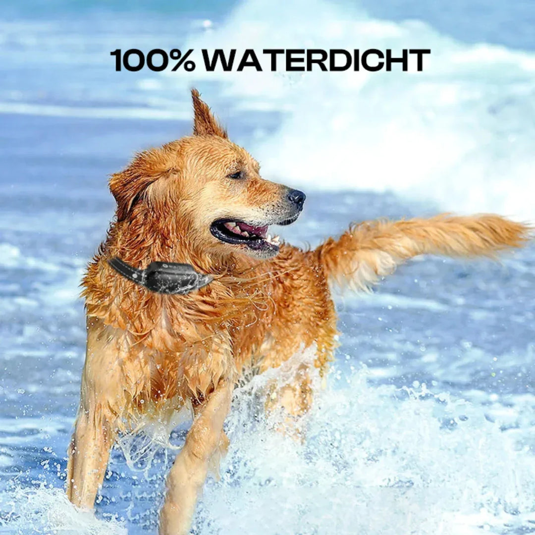 Luvikno | Elektrisk hundetreningshalsbånd med fjernkontroll, vanntett, 16 justerbare sjokk nivåer, 1000m rekkevidde, pip og vibrasjonsmoduser