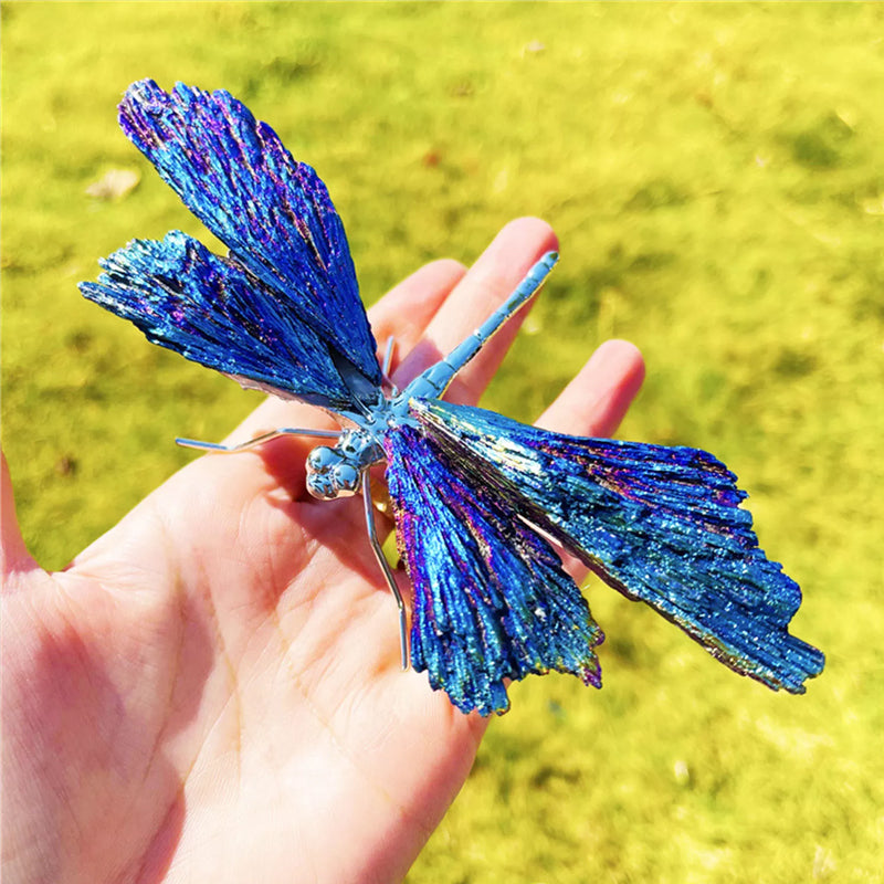 AURA TOURMALINE KYANITE DRAGEFLY | Luvikno