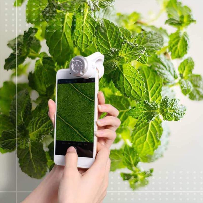 LED Bærbar Telefon Mikroskop | Luvikno