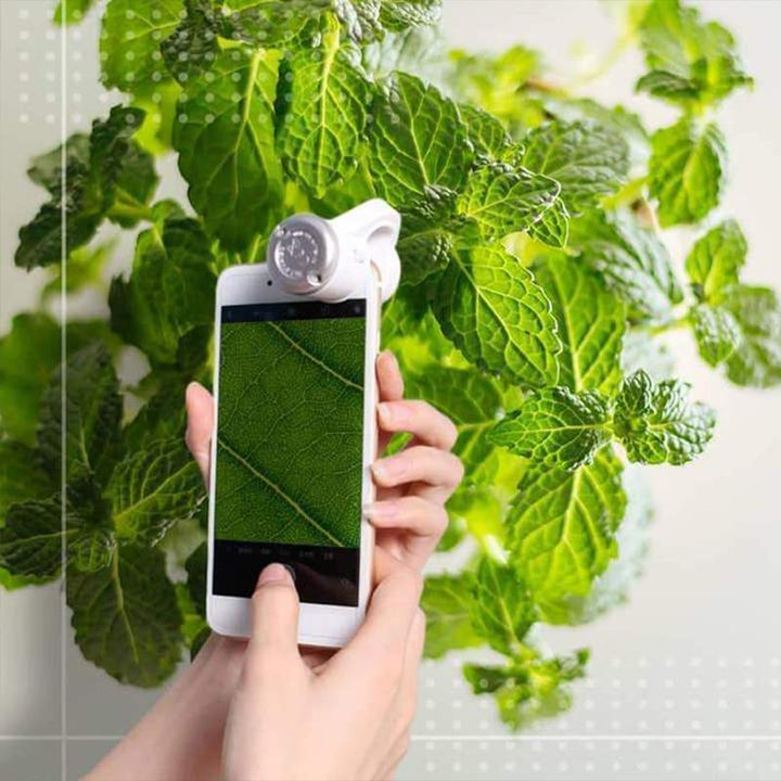 LED Bærbar Telefon Mikroskop | Luvikno