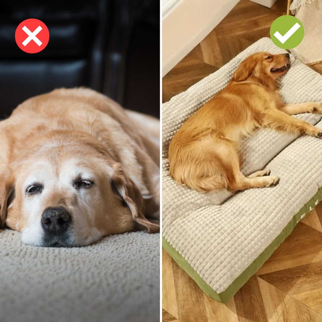 Luvikno | SnoozePaw Luksus Hundeseng – Robuste Skum, Avtakbare Trekk og Optimal Støtte
