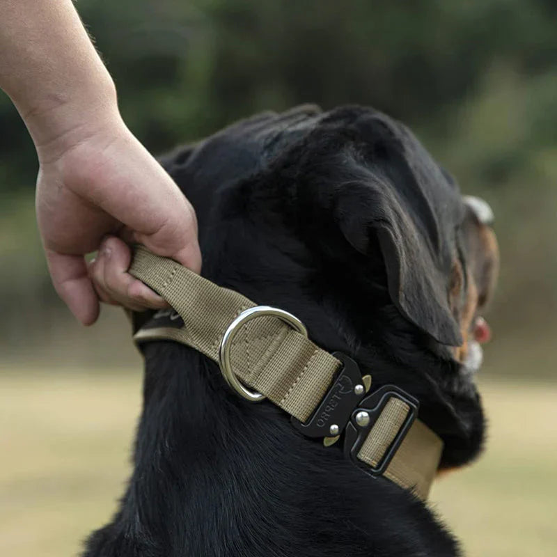 Taktisk Hundehalsbånd med Håndtak – GripMaster Luvikno