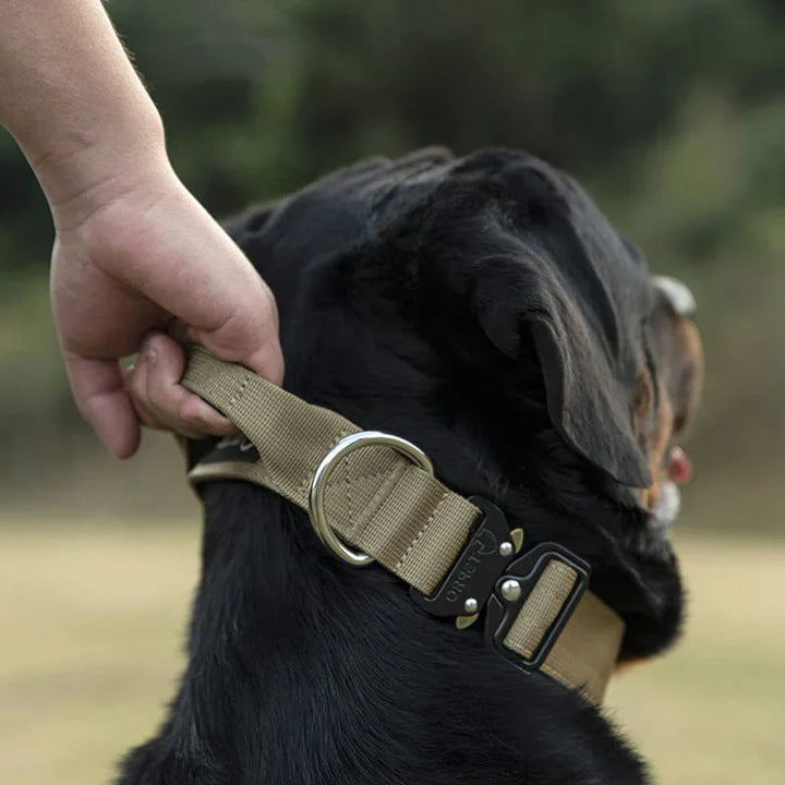 Taktisk Hundehalsbånd med Håndtak – GripMaster Luvikno