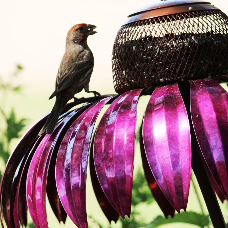 Bird Feeding Station D'éChinacéE | Luvikno