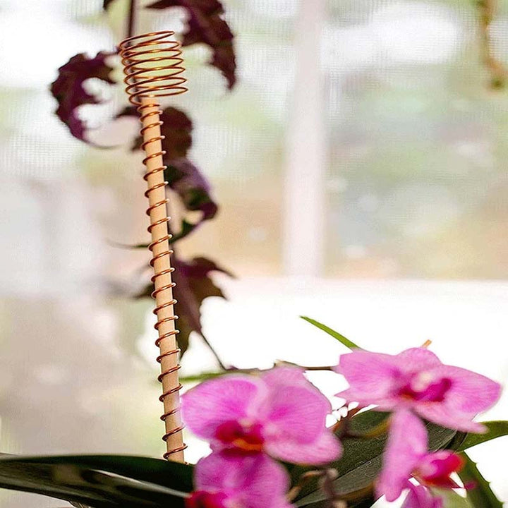 Kobber plantepinner 30 cm | Luvikno