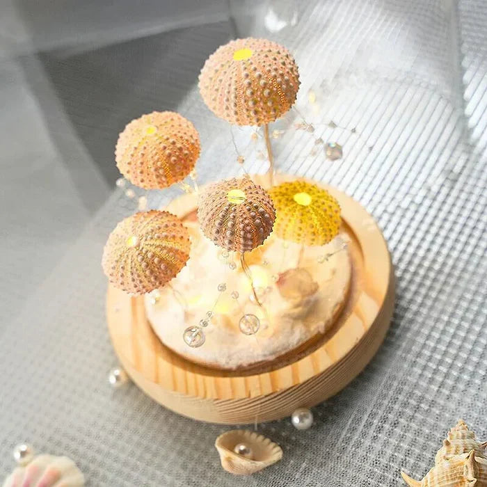 CoastalGlow DIY pinnsvin nattlys Luvikno