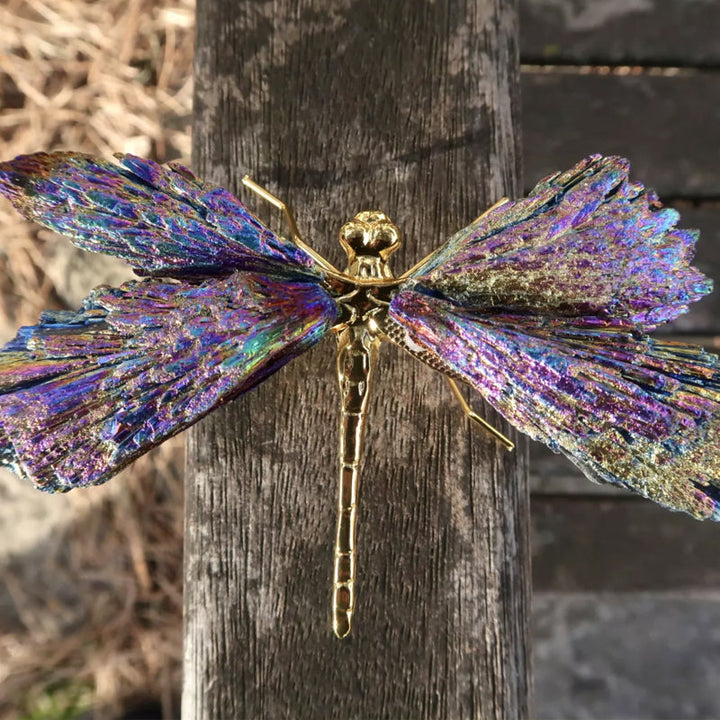 AURA TOURMALINE KYANITE DRAGEFLY | Luvikno