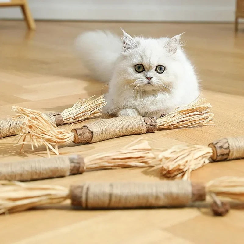 Katte tannrensende pinner Luvikno
