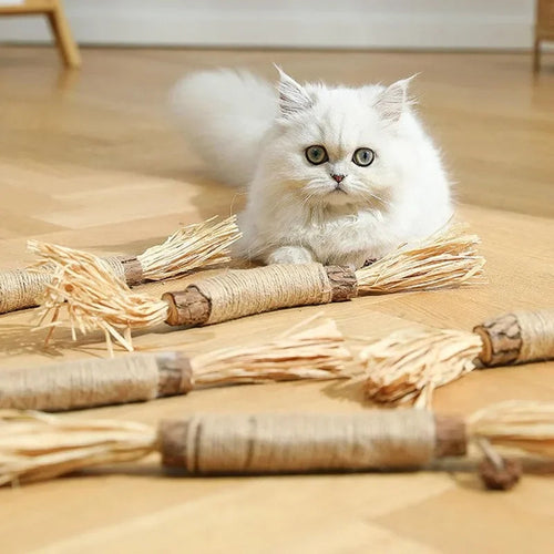 Katte tannrensende pinner Luvikno