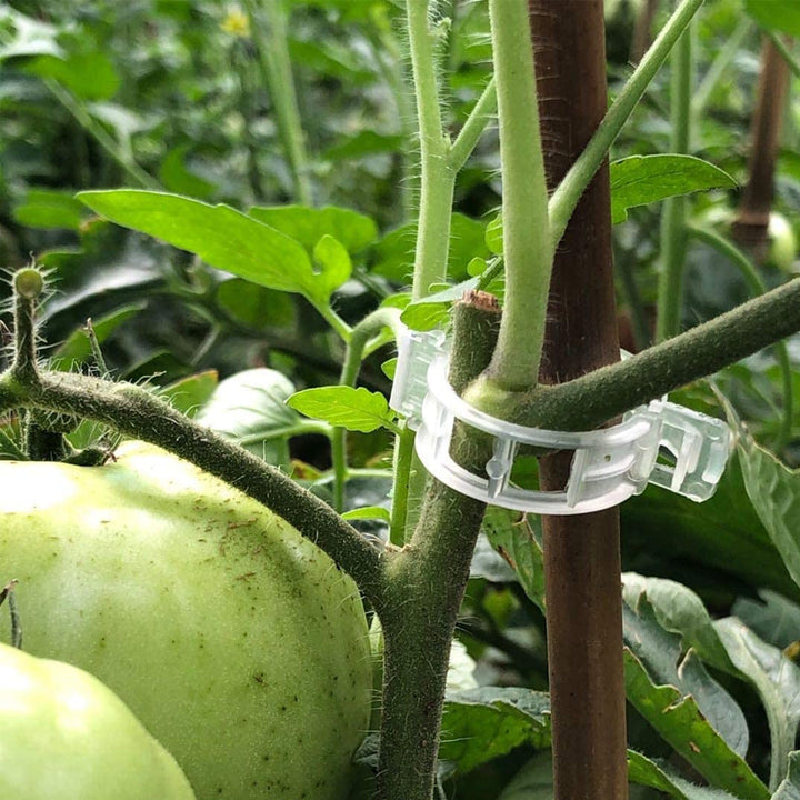 Plastikkinn for å holde planter | Luvikno