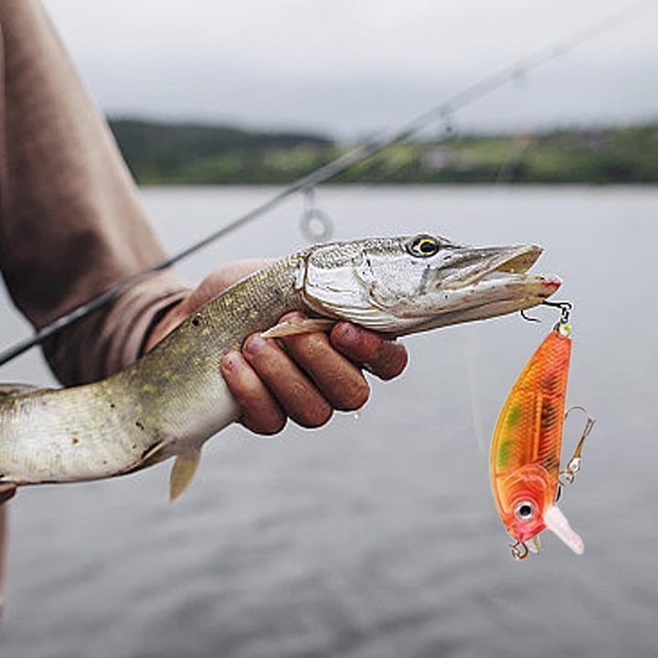 Luvikno | 24 Dager Jule Countdown Fiskestang Sett