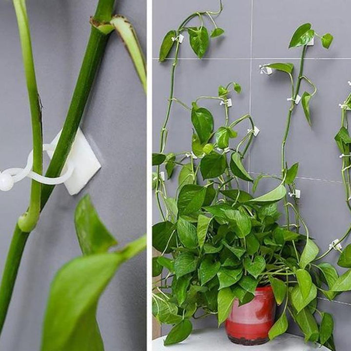 Veggholder for klatreplanter (30 deler) | Luvikno