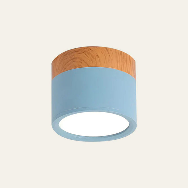 LED Taklampe Moderne Flush Mount Sylinder Luvikno