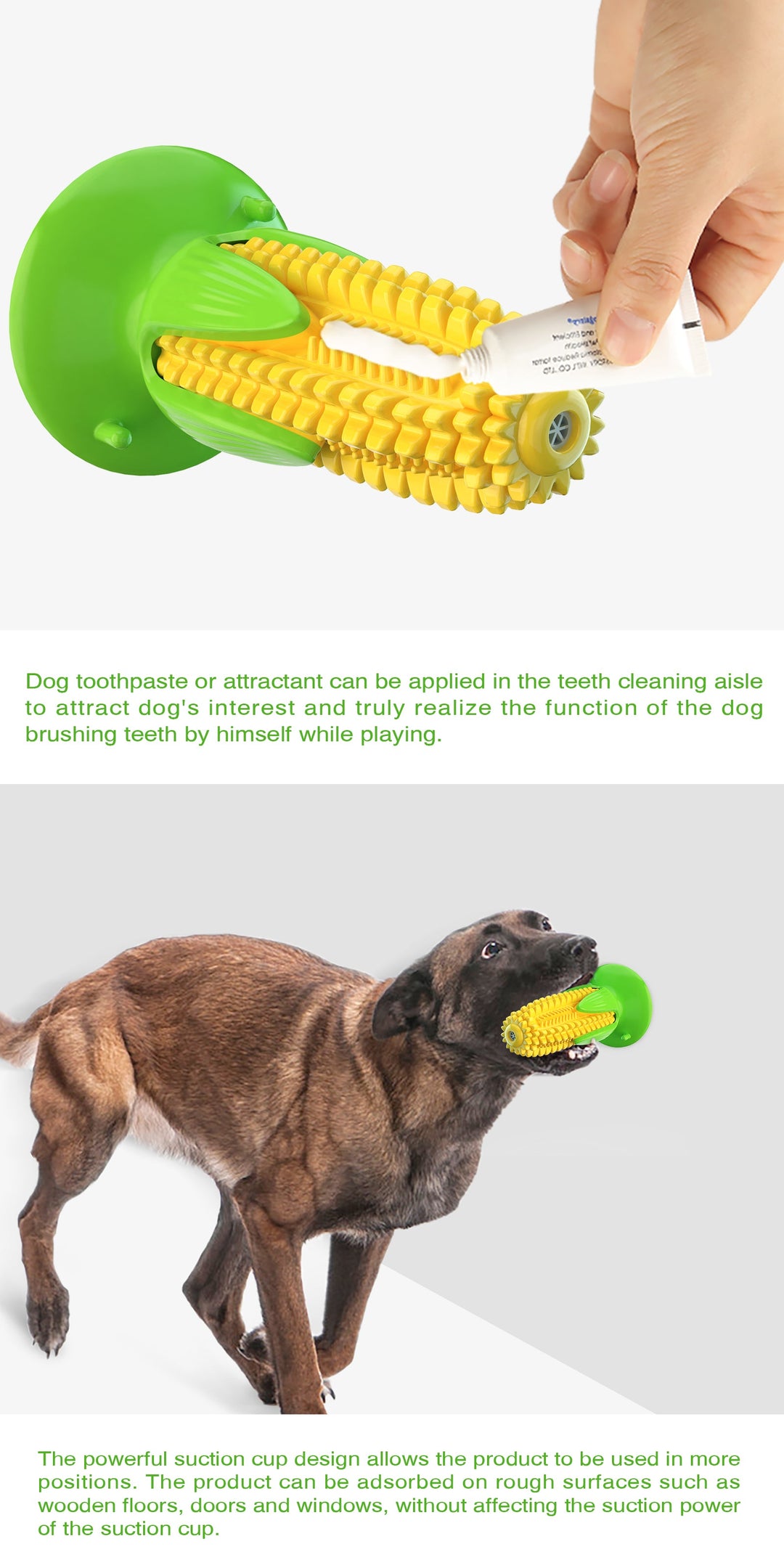 Suggesjons-koppe Mais Pipende Hund Tannbørste / For Hunder Luvikno