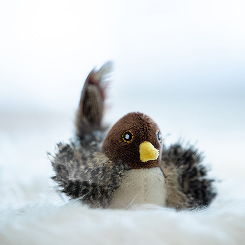 Luvikno | BirdyPurr - Den trygge lekevennen for katten din!