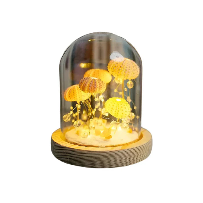 CoastalGlow DIY pinnsvin nattlys Luvikno
