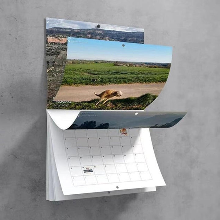 Morsomste Kalender-Hunder Bæsjer på Vakre Steder | "Kunstnerisk Utrykk" av Pelsvenner | Luvikno