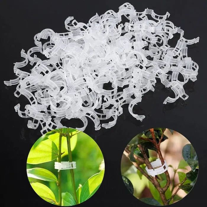 VitaGrip Clips — Sterk hold for majestetiske planter som vokser og trives stolt | Luvikno