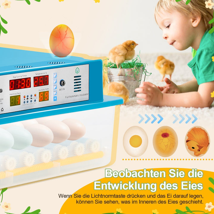 Brutautomat Helautomatiske Inkubator for Kyllinger 64 Egg | Luvikno