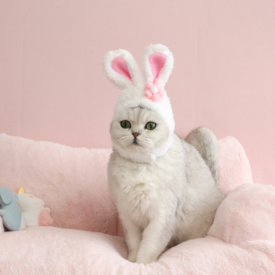 Plush Cartoon Pet Hat med katt, hund og kaninører | Luvikno